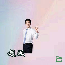 赵飒